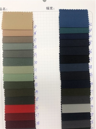 GZ-MXL  8631# 成份：錦綸90% 氨綸10% 後面照